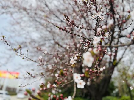 微信圖片_20241223142429 微信圖片_20241223142429