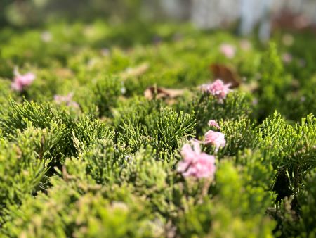 微信圖片_20250411110610