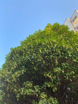 微信圖片_20251020161031 微信圖片_20251020161031