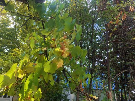 微信圖片_20250707110057 微信圖片_20250707110057