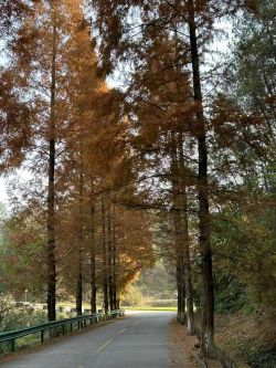 微信圖片_20260112095306 微信圖片_20260112095306