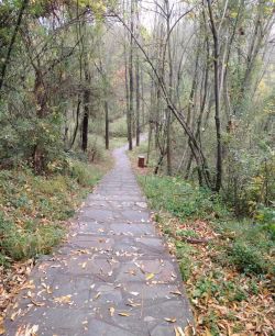 微信圖片_20260112095316 微信圖片_20260112095316